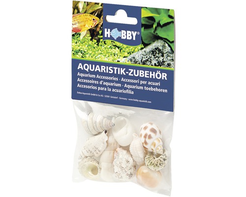 Décoration d'aquarium Hobby coquilles d'escargots Sea Shells Set M 10 pièces Accessoires d''aquarium Hobby: emballage avec différents coquillages pour aquarium