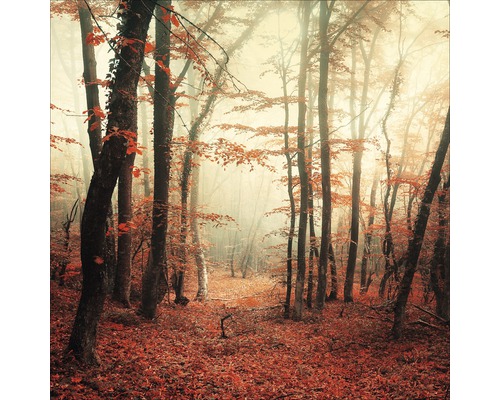 Glasbild Mystic Forest I 30x30 cm