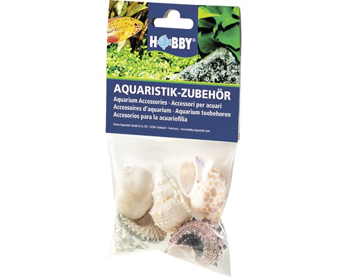 Décoration d'aquarium Hobby coquilles d'escargots Sea Shells Set L 5 pièces Emballage accessoires aquarium coquillages