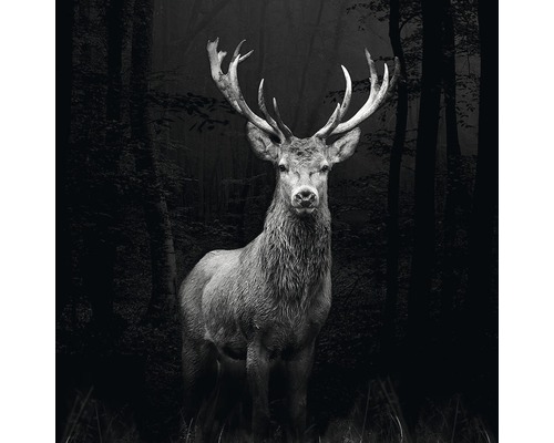Glasbild Grey Deer Head 30x30 cm