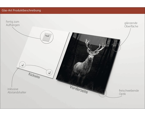 Image en verre avec motif de cerf, surface brillante, avec entretoises pour un montage facile