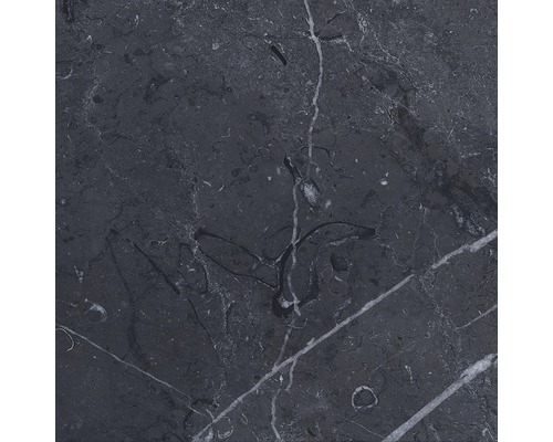 Grès cérame fin carrelage pour sol Taco Velvet negro 16.5x16.5 cm