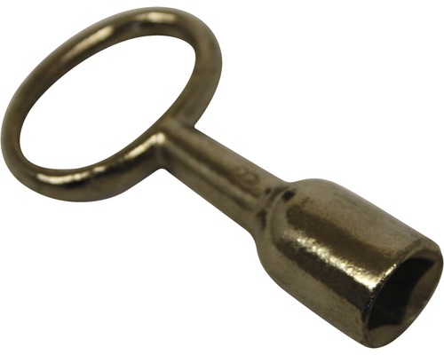 Clé métallique avec œillet et tête hexagonale
