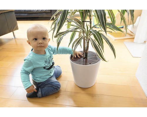 Enfant assis à côté d''une plante d''intérieur en pot