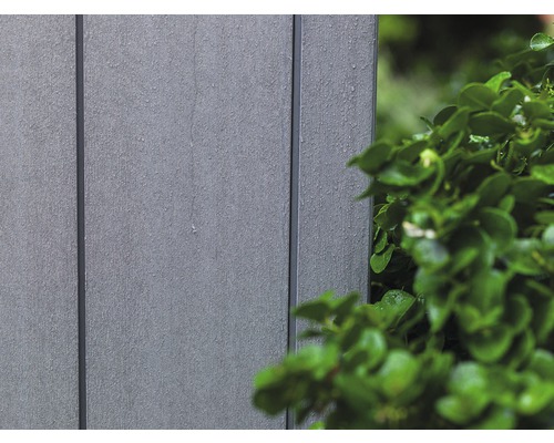 Nahaufnahme von Fassadenverkleidung aus Kunststoff neben einer Grünpflanze