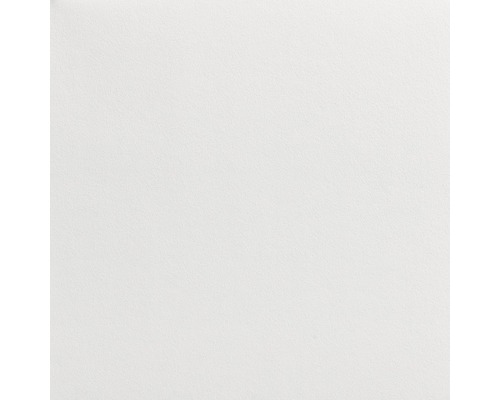 Voile de verre intissé LECO 3565012080 pigmenté blanc 195 g/m² 50 m x 1 m