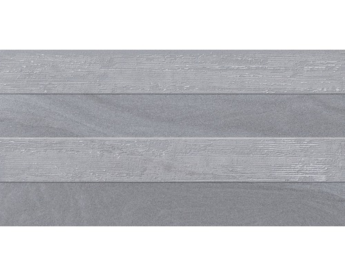 Feinsteinzeug Dekorfliese Austral gris 32x62.5 cm