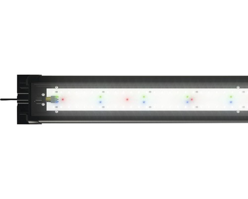 Aquarium LED-Beleuchtung