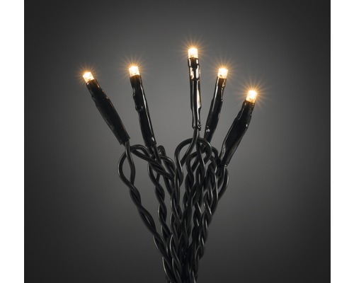 Guirlande lumineuse avec ampoules LED