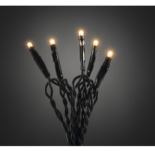 LED-Lichterkette mit warmweissen Lichtern und schwarzem Kabel