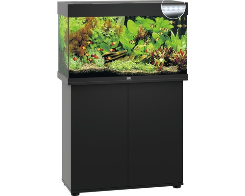 Aquarium complet avec meuble et éclairage.