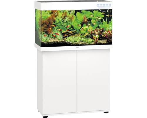 Komplettes Aquarium mit Unterschrank und Dekoration