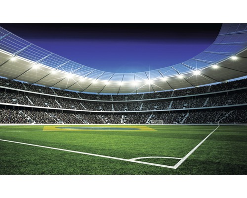 Papier peint panoramique intissé Stade de foot-ball 312 x 219 cm