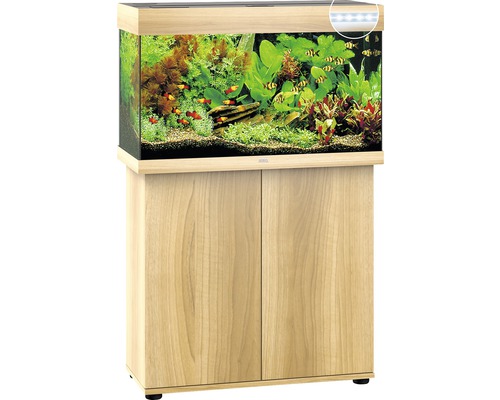 Aquarium combiné avec meuble bas, planté et peuplé de poissons