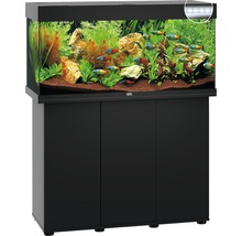 Aquarium complet avec meuble, plantes, poissons et éclairage.