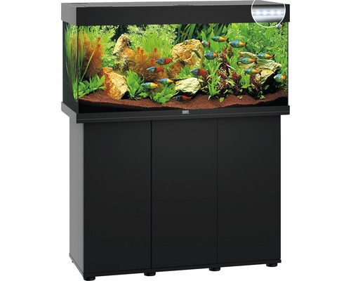 Aquarium complet avec meuble, plantes, poissons et éclairage.