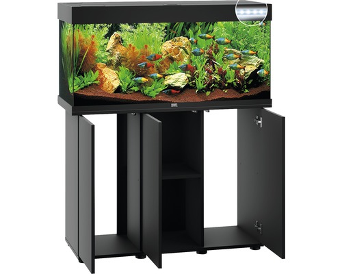 Aquarium noir avec meuble bas, plantes et poissons