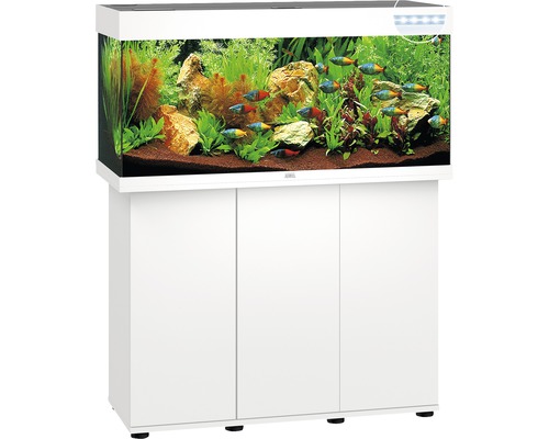 Aquarium avec meuble bas et décoration intérieure