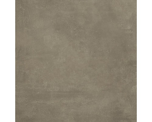 Wand- und Bodenfliese Suite bronzo 60x60 cm