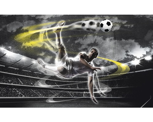 Fototapete Vlies 2000 VEXXL Fussballspieler 3-tlg. 312 x 219 cm Fussballspieler beim Fallrückzieher im Stadion mit Fussball