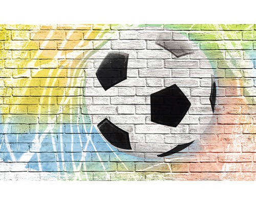 Papier peint panoramique intissé Football 312 x 219 cm