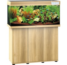 Aquarium mit Unterschrank, ausgestattet mit Pflanzen, Steinen und Fischen