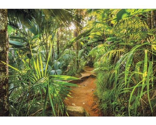Papier peint panoramique 8-989 VOL 15 Jungle Trail 8 pces 368 x 254 cm