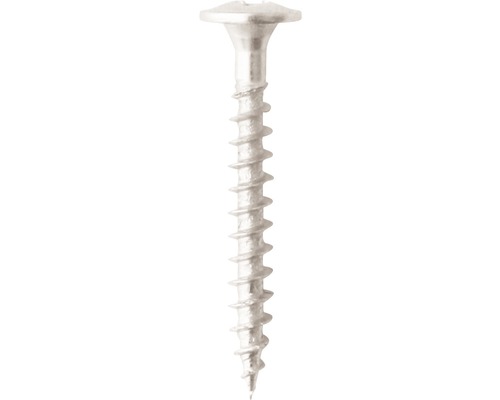 Tête plate en grès-cérame fin blanc avec empreinte cruciforme acier inoxydable A2 5,0x22 mm lot = 10 pièces Tête plate en grès-cérame fin blanc avec empreinte cruciforme acier inoxydable A2 5,0x22 mm lot = 10 pièces