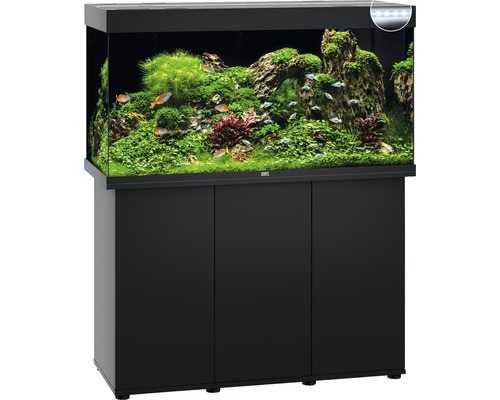 Aquarium complet avec meuble bas, planté et avec poissons