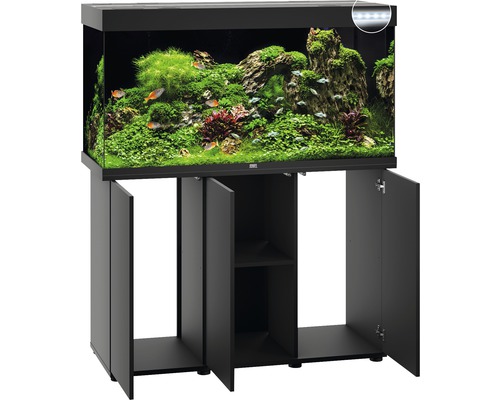 Aquarium noir avec meuble bas, rempli de poissons et de plantes