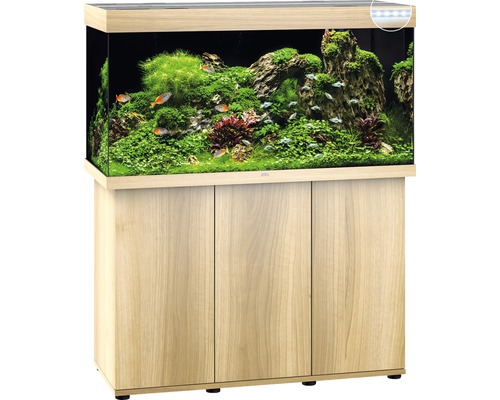 Aquarium avec meuble bas, planté et peuplé de poissons