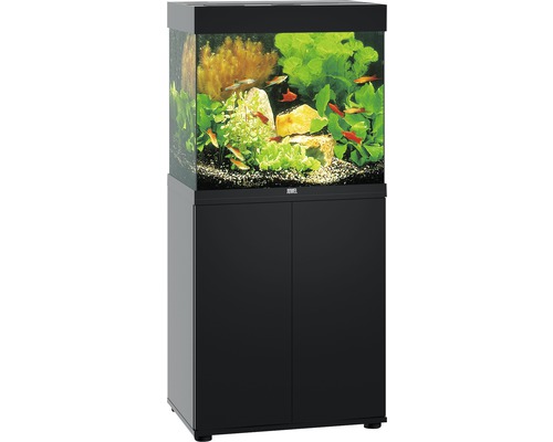 Aquarium complet avec meuble bas, poissons et décorations