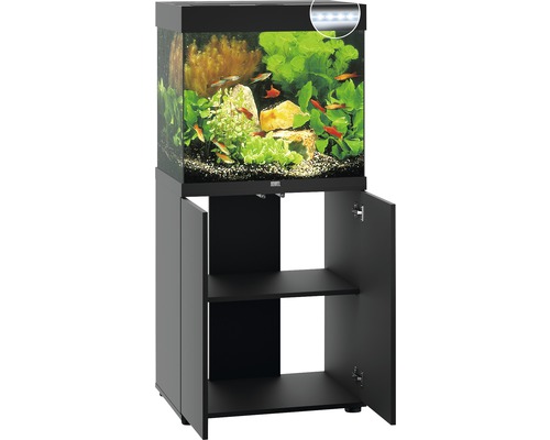 Aquarium avec meuble bas et éclairage