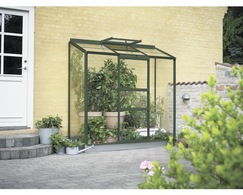 Serre de jardin en verre avec plantes et accessoires d''arrosage.