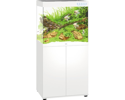 Aquarium complet avec meuble bas en blanc, décoration et poissons inclus.