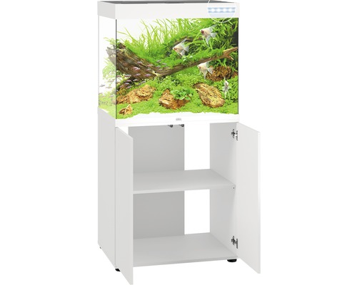 Ensemble aquarium avec meuble bas, équipé de plantes, de poissons et de décorations. Le meuble bas possède deux compartiments ouverts.