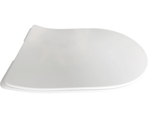 Toilettendeckel aus Kunststoff