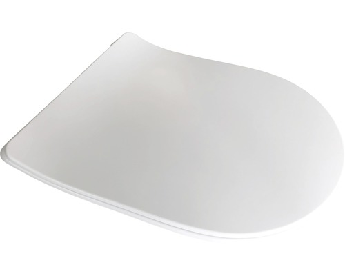 Toilettendeckel aus Kunststoff