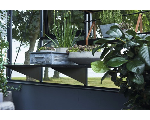 Vue détaillée d''une serre avec des étagères sur lesquelles sont posées des plantes en pot et un panier en métal.