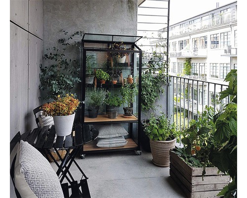 Scène de balcon avec serre, table et plantes