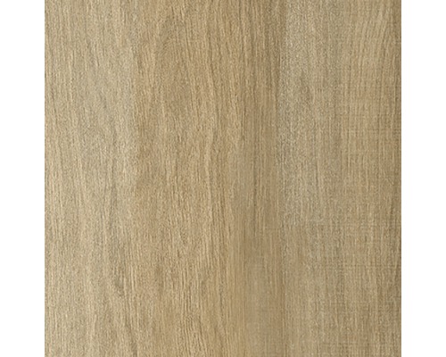 Texture de bois pour les projets de construction et de rénovation