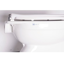 Keramiktoilette mit Toilettendeckel und Befestigungsmaterial