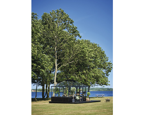 Ein Gewächshaus steht im Garten am See unter Bäumen.