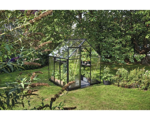 Serre avec des plantes dans le jardin