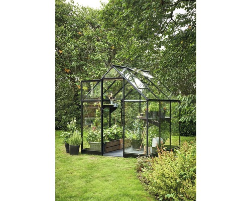 Serre avec des plantes dans le jardin.