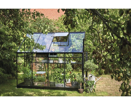 Serre avec des plantes dans le jardin