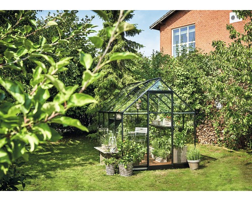 Serre avec des plantes dans le jardin