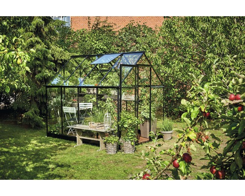 Serre avec plantes et mobilier de jardin dans le jardin