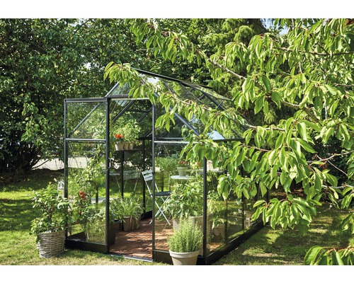 Serre avec plantes et meubles de jardin dans le jardin