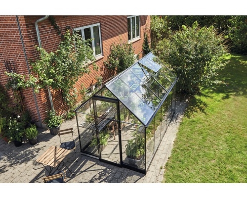 Serre en verre avec cadre en acier dans le jardin